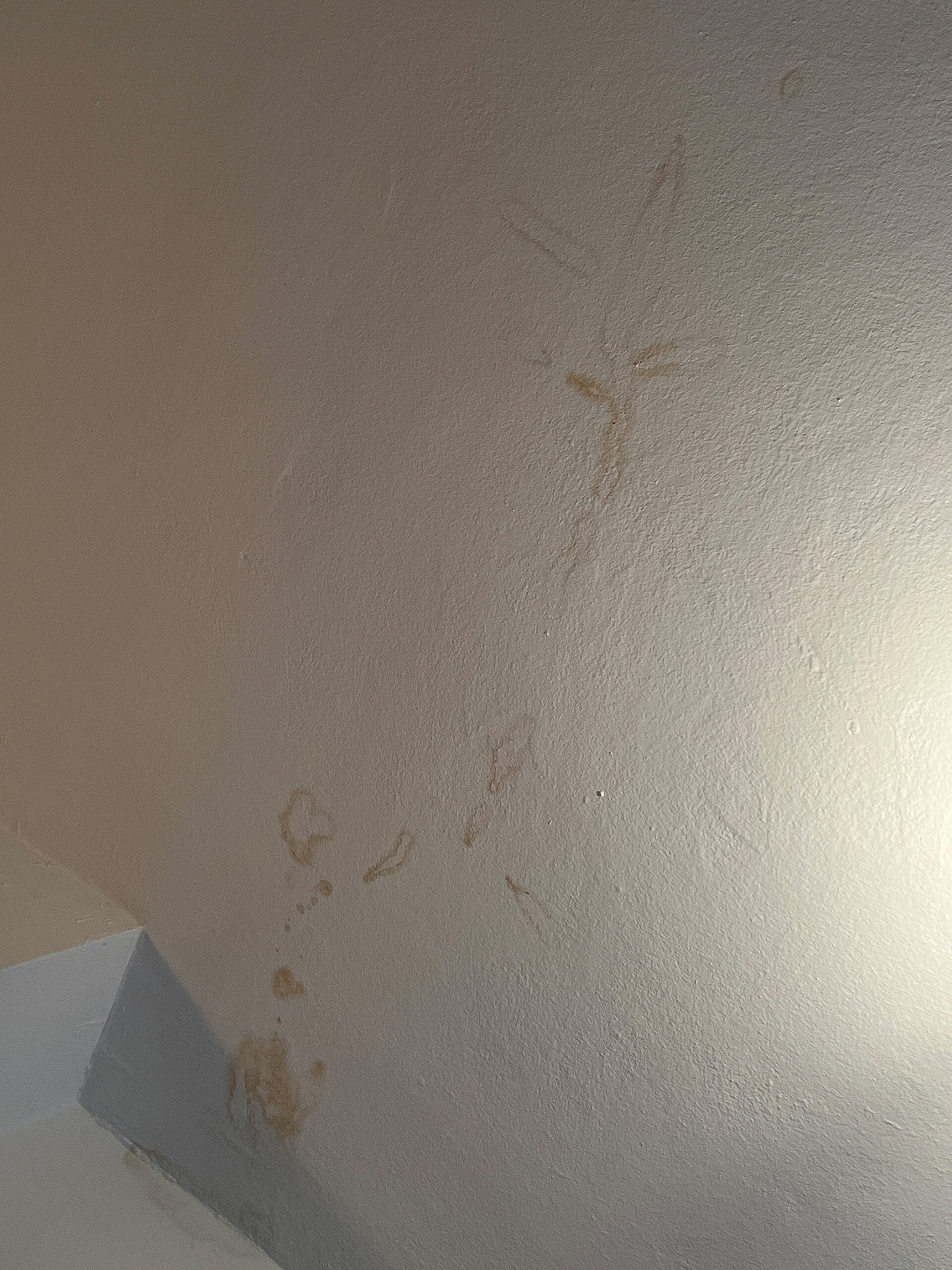 Wasserschaden an der Decke einer Eigentumswohnung